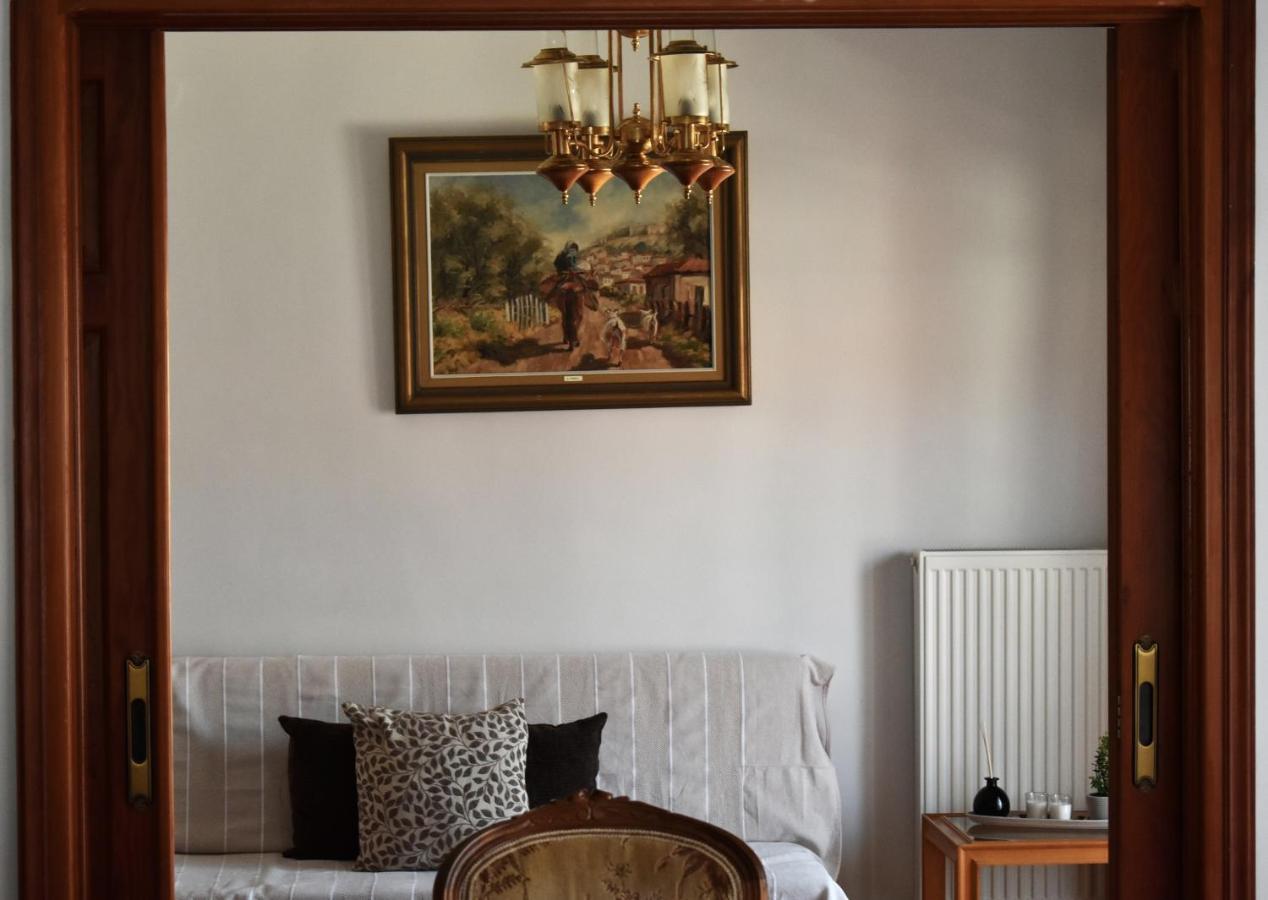 Κεντρικό Και Ευρύχωρο Οροφοδιαμέρισμα Кастория Экстерьер фото